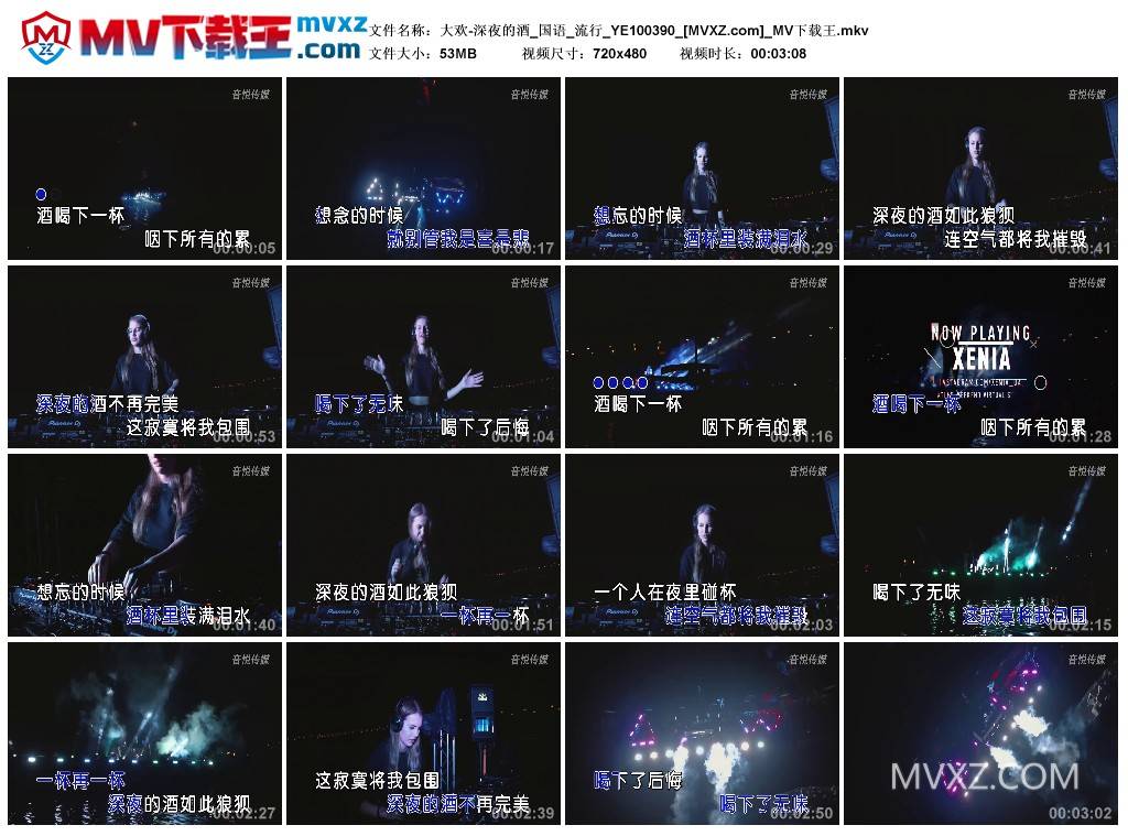 大欢-深夜的酒_国语_流行_YE100390